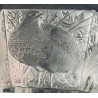 Large Partridge Bowl Lalique France
